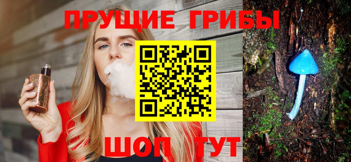 Псилоцибиновые грибы Magic Shrooms  Вход с VPN  Великие Луки  Псилоцибиновые грибы Psilocybine cubensis 